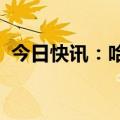 今日快讯：哈马斯证实其领导人辛瓦尔死亡