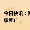 今日快讯：斯里兰卡火车与象群相撞致两头大象死亡