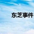 东芝事件：深度剖析事件原因与影响