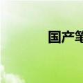 国产笔记本电脑的崛起与挑战